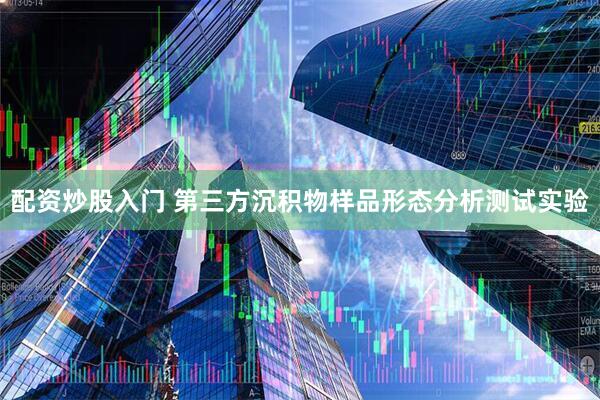 配资炒股入门 第三方沉积物样品形态分析测试实验