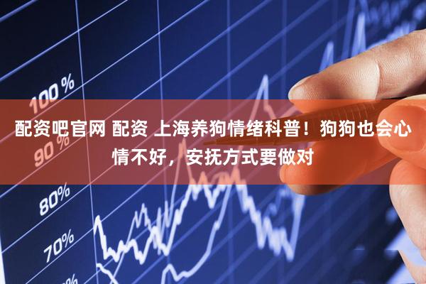 配资吧官网 配资 上海养狗情绪科普！狗狗也会心情不好，安抚方式要做对